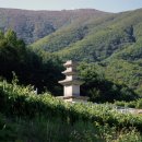 별빛마을 이미지