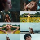 숲의 아이 이미지