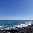 바람의연