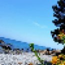 미스터트롯에서 김호중씨가 불렀던곡 이미지