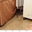 분당미소한의원 이미지