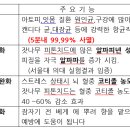 (주)피러스 이미지