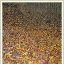 추동마을 이미지