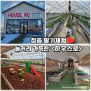 조동농장 | 정읍 아이랑 가볼만한 곳, <하우스로>딸기체험농장 솔직 후기