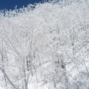 하얀풍경 이미지