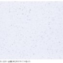 루시아디자인