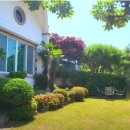 바다가보이는정원민박 이미지