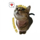 119등갈비 이미지