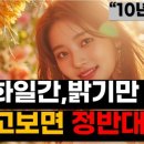 병진 | 병화일간 특징,성격,개운법(병자일주,병인일주,병진일주,병오일주,병신일주,병술일주)