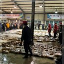 3월 9일(수) [ 선거일로 오늘 휴무 / 내일소개!! 대갈치(구매적기), 참가자미(대), 3단병어, 생물고등어, 아귀 ] 소개합니다 이미지