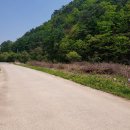 오토공인중개사사무소 이미지