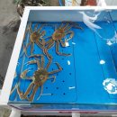 복성수산 이미지