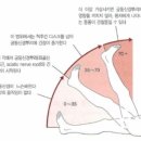 리투퍼 운동센터 이미지