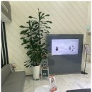 유앤아이치과의원 이미지