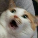 애월 주스테이 이미지