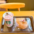 하나음료 | 일본 스타벅스 사쿠라 시즌 한정메뉴 벚꽃 음료 후기