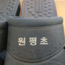 원평초교 이미지