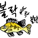 미라벨제주