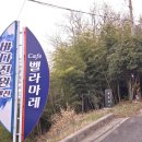 벨라마레 이미지