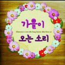 오라잇 Daum카페