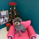 홀리몰리살롱 이미지