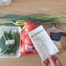 (주)아워제주 이미지