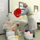 벌과 사람 이미지