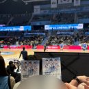 농구장 | [KBL 프로농구 직관] 고양 소노 아레나 농구장 시야 후기
