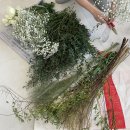 스테이무메 이미지