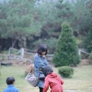 호숫가의 하얀집 이미지