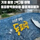 맘마 논 맘마 펜션 민박 | 동피랑굴촌-동피랑벽화마을-통영케이블카-조선군선-통영중앙전통시장-본가할매김밥-고성곱창-맘마논맘마
