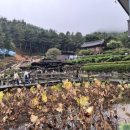 고요정원 | [산청 여행] 🪷 산청 수선사 방문 후기 🌿 고요한 정원과 여유로운 힐링 공간