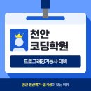 웹프로그래밍-C 언어 입문 | 천안프로그래밍기능사학원, 공군 전산특기·입시생이 찾는 이유