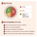 팥박사