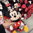 프라이펫 이미지