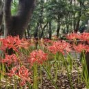 산호동220 이미지