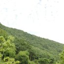 수니유치원 이미지