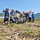 용산면 행정복지센터 여성종합뉴스