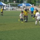 하동군수배 축구대회 (1.2학년) 이미지