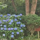 그때그펜션 이미지