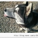 초야농장 이미지