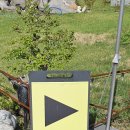 다온앤틱카페 이미지