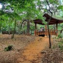 백석생활체육공원 관리동 | 도심속 힐링산책길- 백석공원 스마트건강길