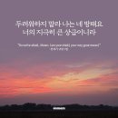 오늘의 &#39;영어성경 사진&#39;(551강) “나의 방패와 지극히 큰 상급되신 주님”(창세기 15장 1절 하반절) 이미지