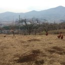 현경농장 이미지