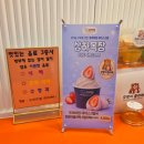 호랑이졸라떡