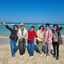 제주여행 이미지