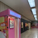 요니의 작업실 | [서울 전시회]캐서린 번하드 전시회 예술의 전당 전시 추천!(드레스코드는 핑크입니다.)