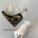 젤리뽀개린이집 이미지