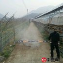 호탄농장 이미지